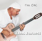 Picture for song 'Mystified Blues.mp3' by artist 'CHAS BURNETT'