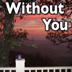 Picture for song 'Without You' by artist 'Chris English (US)'