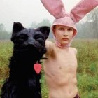 Picture for song 'Dancers To A Discordant System (Meshuggah)' by artist 'christofthedead'