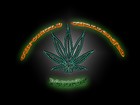 Picture for song 'TWISTED feat. LYRICAL PREACHA & LIL D THA D-MAN' by artist 'CHRONICLY CHALLENGED RECORDS'