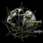 Picture for song 'WE RUN DISS' by artist 'CHRONICLY CHALLENGED RECORDS'