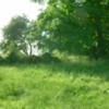 Picture for song 'Sitting In A Green Field' by artist 'Claire Roche Music'