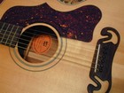 Picture for song 'TrueBlues-Backing Track' by artist 'clayville'