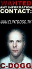 Picture for song '20 - I Wish feat. Tmc' by artist 'Clint Dogg - New Shit'