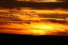Picture for song 'Shade of Thought' by artist 'Code Shred'