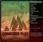 Picture for song 'I'm A Queen' by artist 'Conscious Plat'
