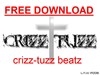 Picture for song 'piano in rage (FREE DOWNLOAD)' by artist 'crizz-tuzz'