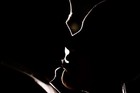 Picture for song 'ISN'T IT ROMANTIC' by artist 'Daddy G'