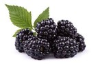 Picture for song 'Black Berry' by artist 'DAMVP'