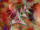 Picture for song 'Monadas' by artist 'Daniel Eboli'
