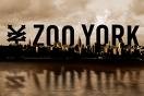 Picture for song 'daniel esperzinski - Zoo York' by artist 'dannyNergy'