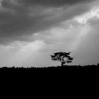 Picture for song 'Desert Wash' by artist 'Dan Tharp'