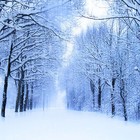 Picture for song 'Forced Winter Strides' by artist 'Darrens Band'