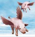 Picture for song 'Pigs Fly Unplugged' by artist 'Dave Dalton'