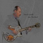 Picture for song 'Tried That' by artist 'David Caudle'