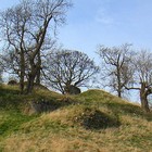 Picture for song 'The Laird o'the Dainty Downbye' by artist 'David Kilpatrick'