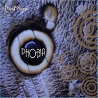 Picture for song 'Fly With Me' by artist 'David Maeso'