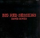 Picture for song 'Burn It Down - (big red sessions)' by artist 'David Rovics'
