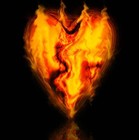 Picture for song 'Burn' by artist 'D Boone'