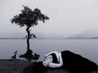 Picture for song 'STANDING ALONE' by artist 'DEADWATER MONK'