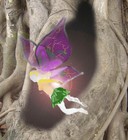 Picture for song 'elfenstaub und kobolde' by artist 'decollage'