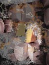 Picture for song 'not without my parmesan' by artist 'decollage'
