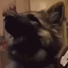 Picture for song 'mc bi*** spread out and scattah' by artist 'Deejay Pleazure'