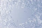 Picture for song 'ICY' by artist 'DEFSCOTTYB'