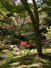 Picture for song 'Nature Boy' by artist 'Deja Bleu'