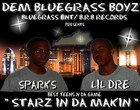 Picture for song 'Watch Me Do IT!' by artist 'DEM BLUEGRASS BOYZ'