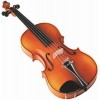 Picture for song 'An American Sonata for Violin and Piano - IV' by artist 'Devin Chaloux'