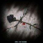 Picture for song 'Lost Dreams' by artist 'DHW'