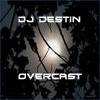 Picture for song 'Remedy' by artist 'DJ Destin'