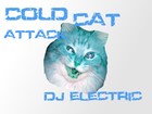Picture for song 'Cold Cat Attack' by artist 'Dj Electric'