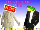Picture for song 'Meeting with the Fling' by artist 'Dj Electric'