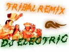 Picture for song 'Tribal Remix' by artist 'Dj Electric'