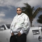 Picture for song 'ANOTHER MIAMI PARTY in G-minor .mp3' by artist 'Dj Katfish'