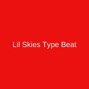 Picture for song 'Lil Skies Type Beat' by artist 'DJ Mauri B'