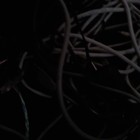 Picture for song 'Flat' by artist 'DJS-FLY'