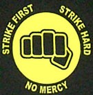 Picture for song 'Strike Hard' by artist 'DJ Stormfingerz'