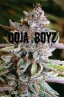 Picture for song 'Dope!' by artist 'Doja Boyz'