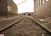 Picture for song 'Yes Yes Ya'll' by artist 'Domino Cash'