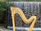 Picture for song 'Lagan Love' by artist 'Donna Germano'