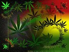 Picture for song 'DP DISCIPLE - Steady Rollin' by artist 'Dpnation'