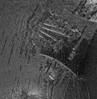 Picture for song 'MR GRAY' by artist 'Dragon Rocks'