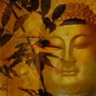 Picture for song 'Ohm.MP3' by artist 'Dr. Droxy'