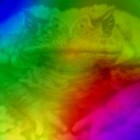 Picture for song 'Lick the Toad' by artist 'Drew Costigan'