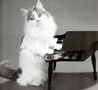 Picture for song 'Newbiex pt. 1 (Electronic)' by artist 'Drumsynth'