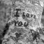 Picture for song 'My Other Love' by artist 'd-Storm 91'