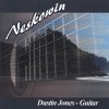 Picture for song 'Neskowin' by artist 'Dustin Jones Guitar'